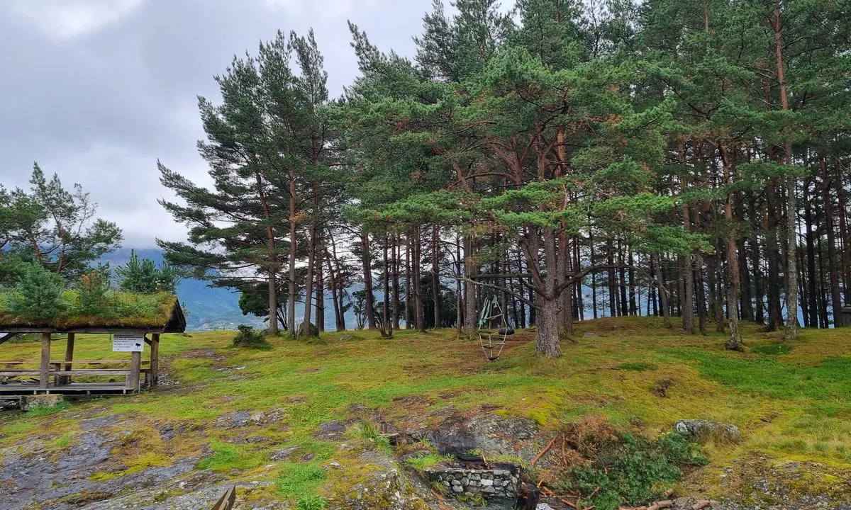 Sild: {"base": "no", "no": "Fint p\u00e5 land, med huskestativ", "se": "Fint p\u00e5 land, med gungst\u00e4llning", "en": "Nice on land, with a swing set", "da": "Fint p\u00e5 land, med gyngestativ"}