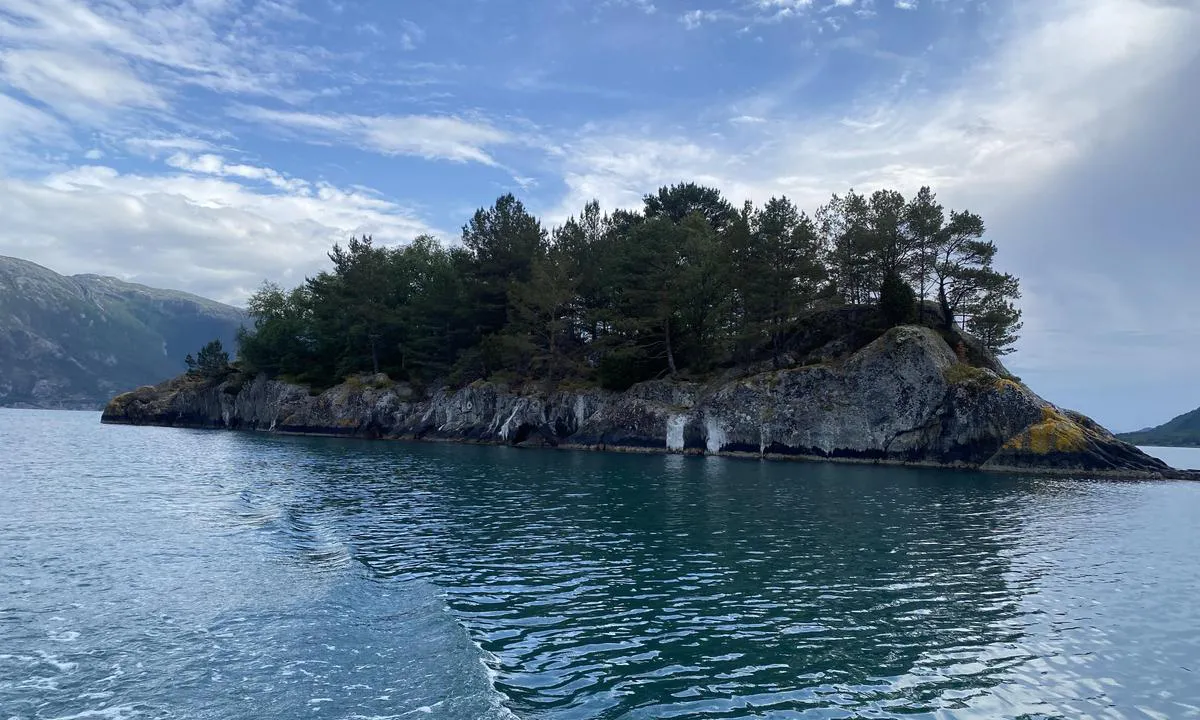 Sild vest: {"base": "no", "no": "Bolter i fjellet langs land. Gode dybder helt inn til fjellet.", "se": "Bultar i berget l\u00e4ngs land. Bra djup \u00e4nda in till berget.", "en": "Bolts in the rock along the shore. Good depths right up to the rock.", "da": "Bolte i fjeldet langs land. Gode dybder helt ind til fjeldet."}