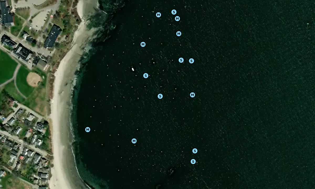 Satelite image of Simonton Cove