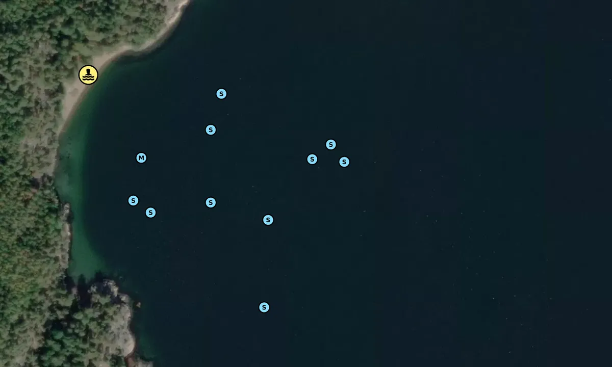 Satelite image of Singløya