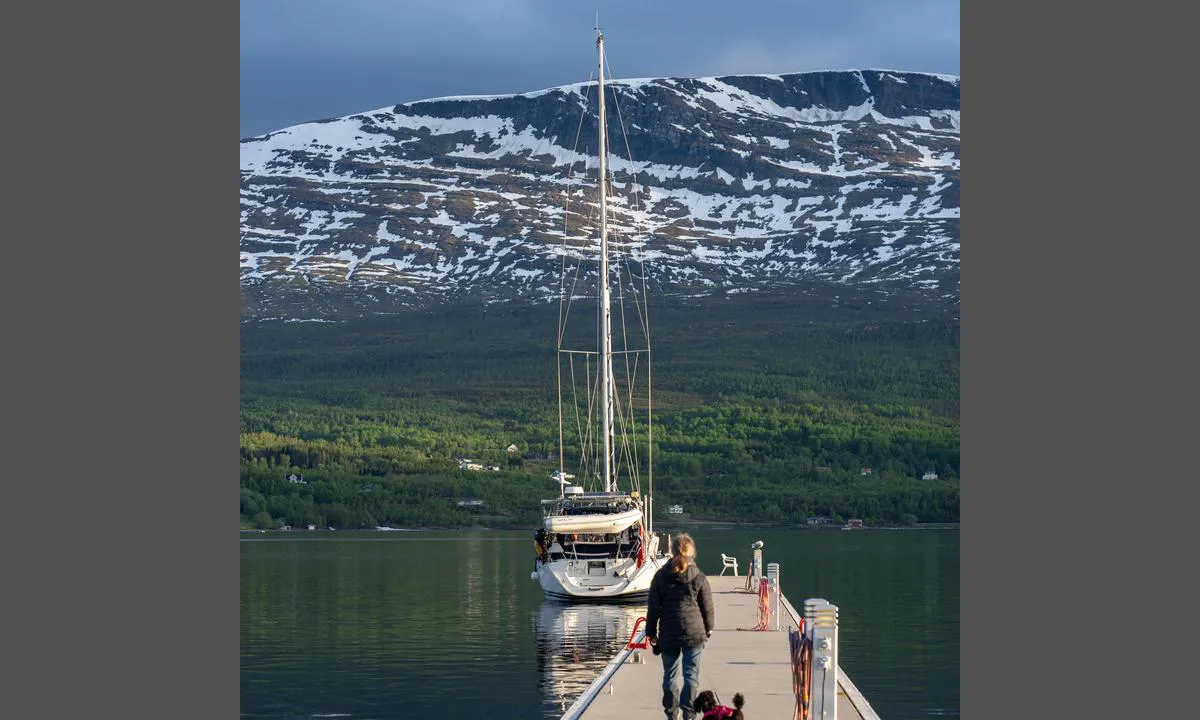 Sjøvegan Millionfisken