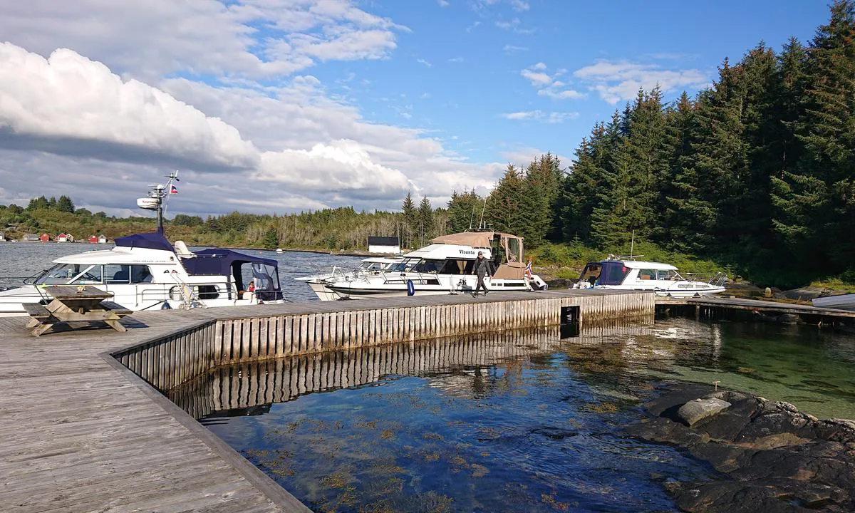 Skageneset: {"base": "no", "no": "Trekai, grindabygg med b\u00e5lplass. Fin badefj\u00e6re bak kaien.", "se": "Tr\u00e4kaj, grindbygg med eldstad. Fin badstrand bakom kajen.", "en": "Wooden pier, open framework structure with a bonfire area. Nice bathing shore behind the quay.", "da": "Tr\u00e6kaj, grindebygning med b\u00e5lplads. Fin badefjord bag kajen."}