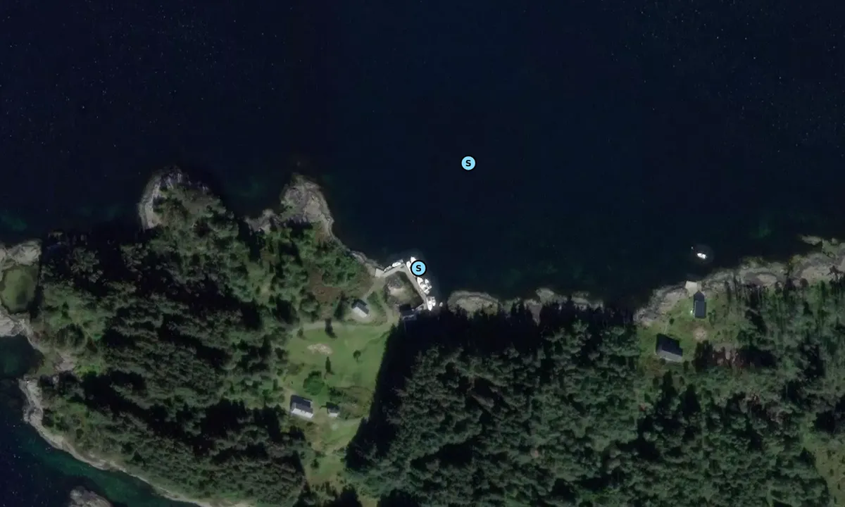 Satelite image of Skageneset