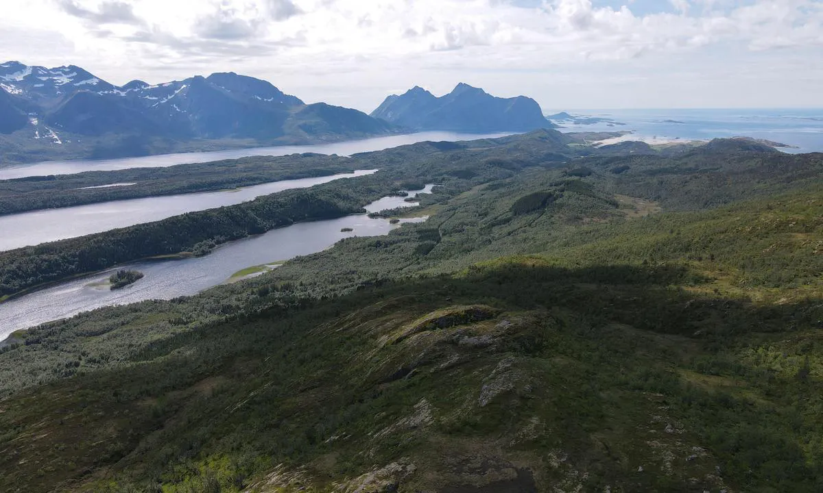 Skånlandsodden: Utsikt vestover dronningstien