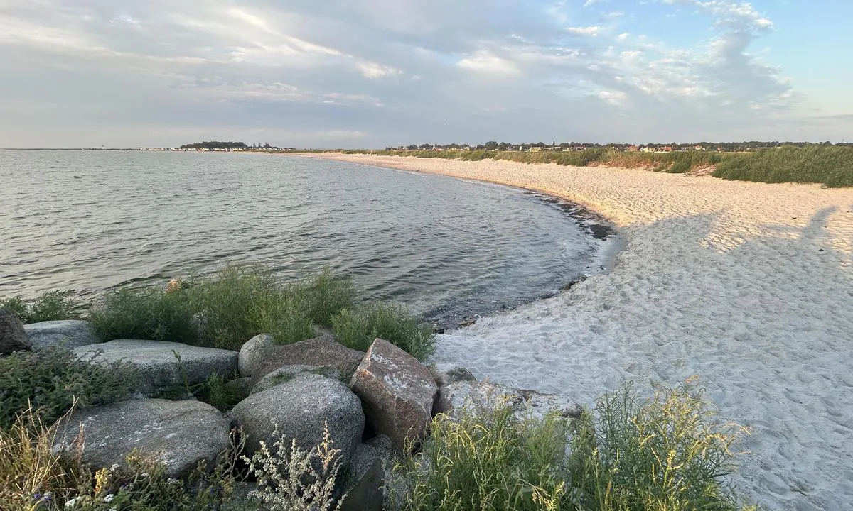 Skanör