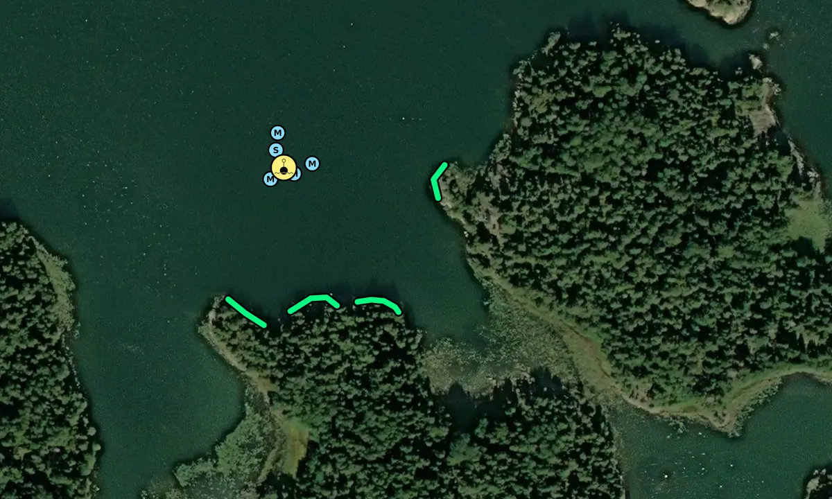 Satelite image of Skansören