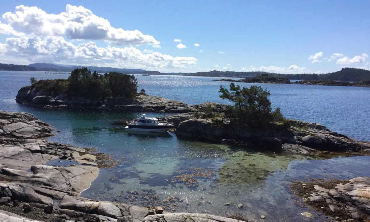 Skår Austevoll: Bildet er tatt retning sør.