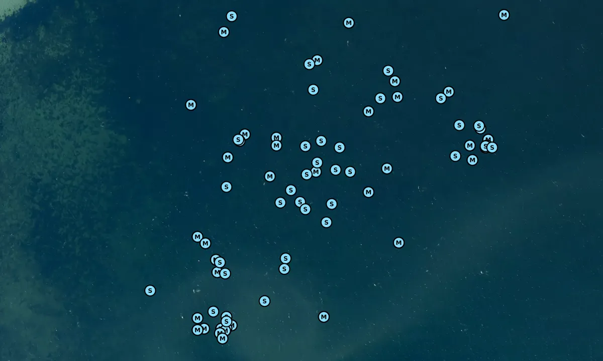 Satelite image of Skarø Rev bouy