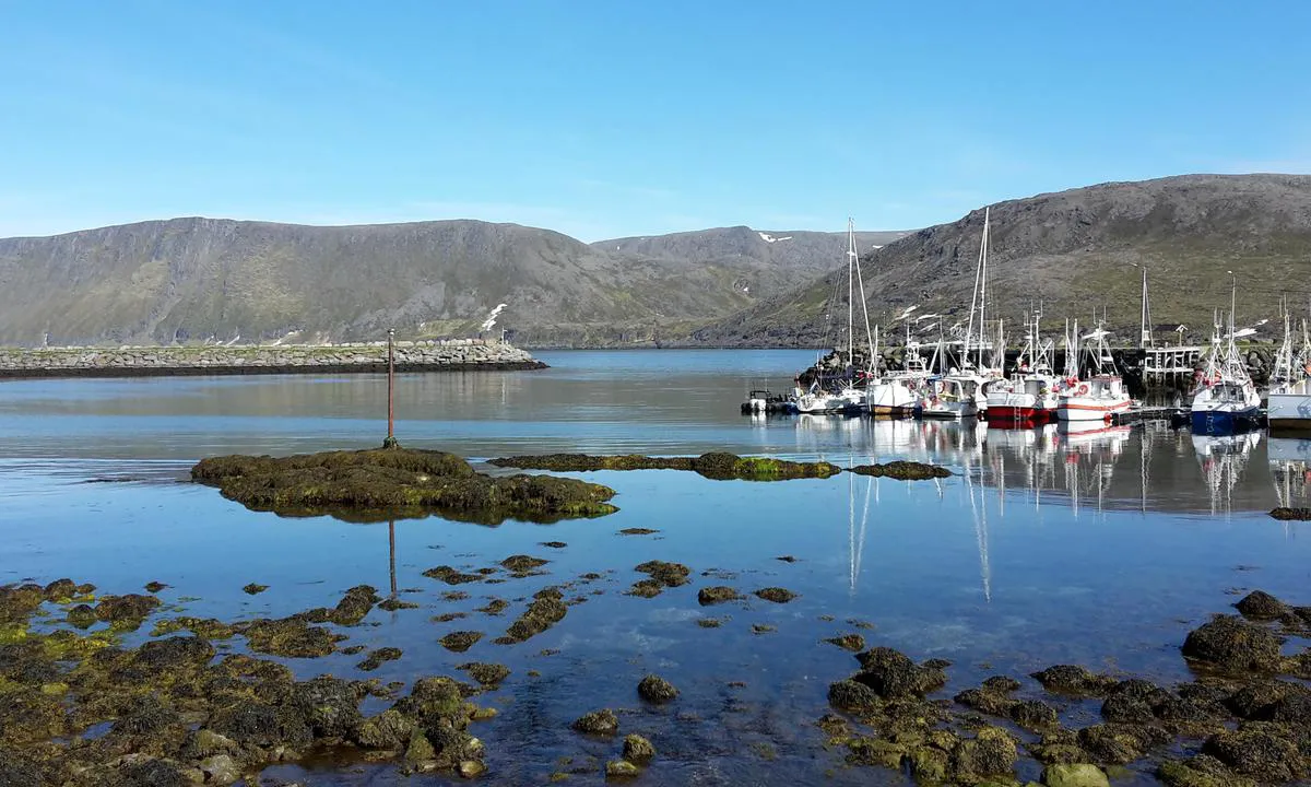 Skarsvåg