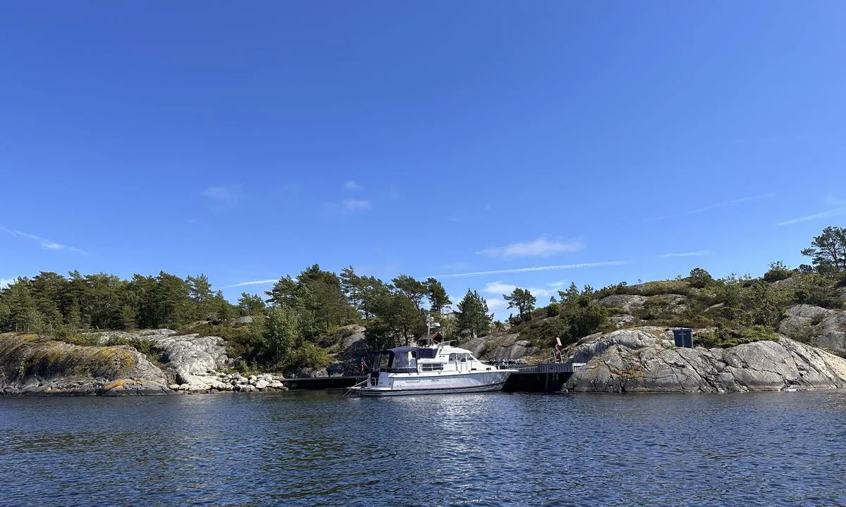 Skarveset