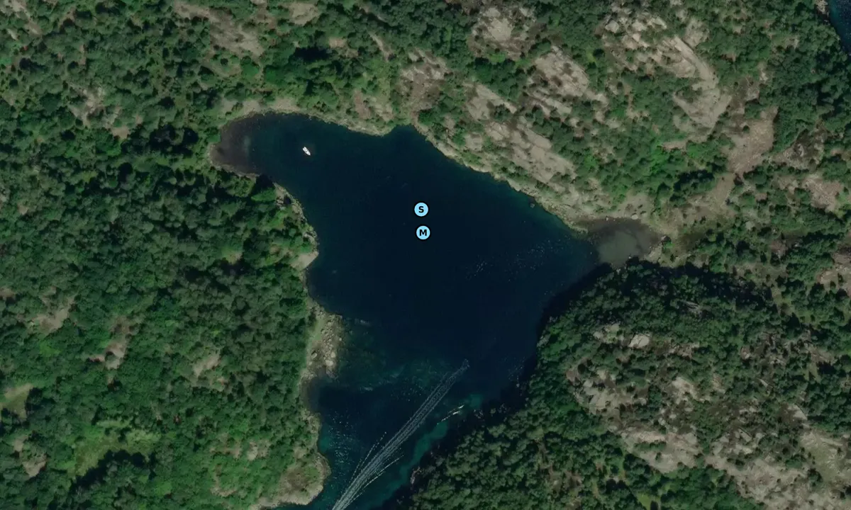 Satelite image of Skarvøya