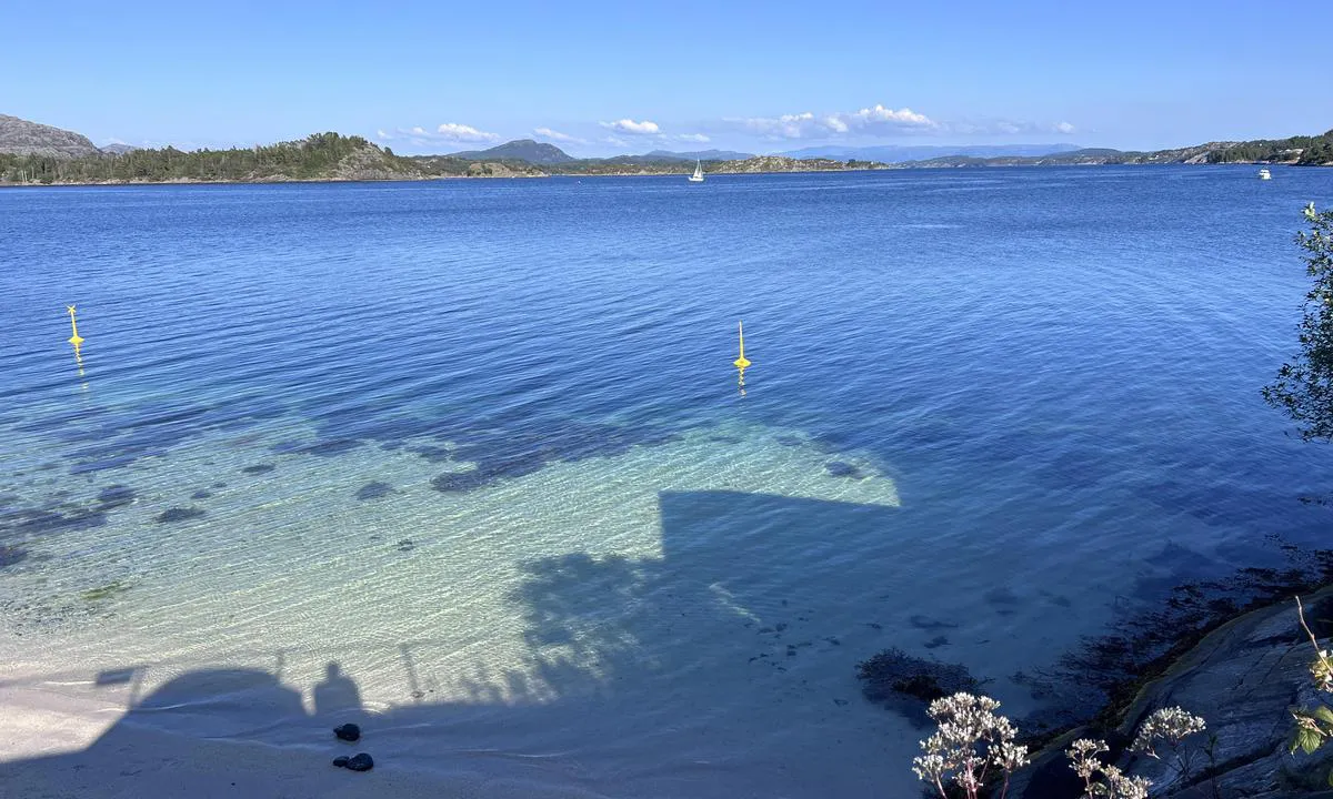 Skarvøyna - Herdla: {"base": "no", "no": "Stranden ved Hotel Biologen, Skarv\u00f8y sees rett bak.", "se": "Stranden vid Hotel Biologen, Skarv\u00f8y syns r\u00e4tt bakom.", "en": "The beach by Hotel Biologen, Skarv\u00f8y is seen right behind.", "da": "Stranden ved Hotel Biologen, Skarv\u00f8en ses lige bagved."}