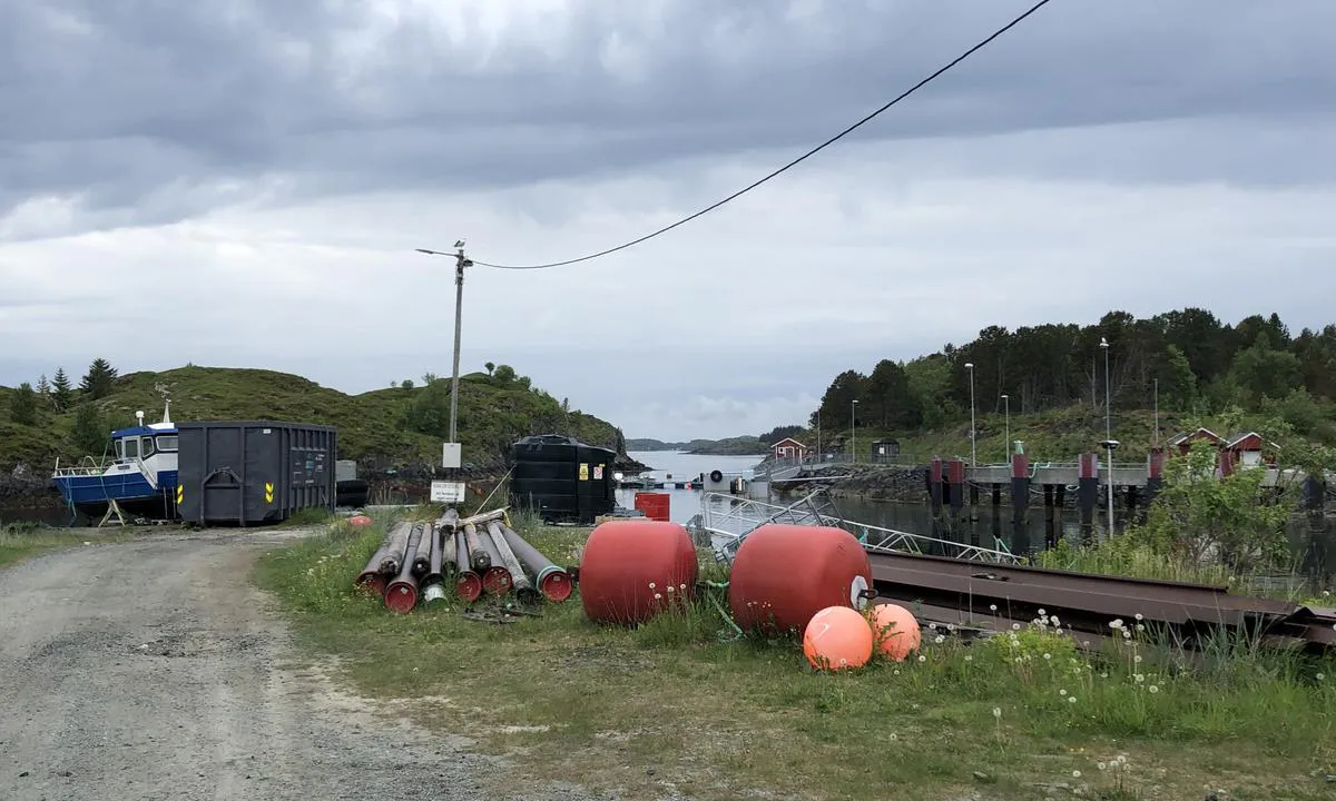 Det er full aktivitet i havneområdet på Skei, og det er ikke en veldig vakker havn.