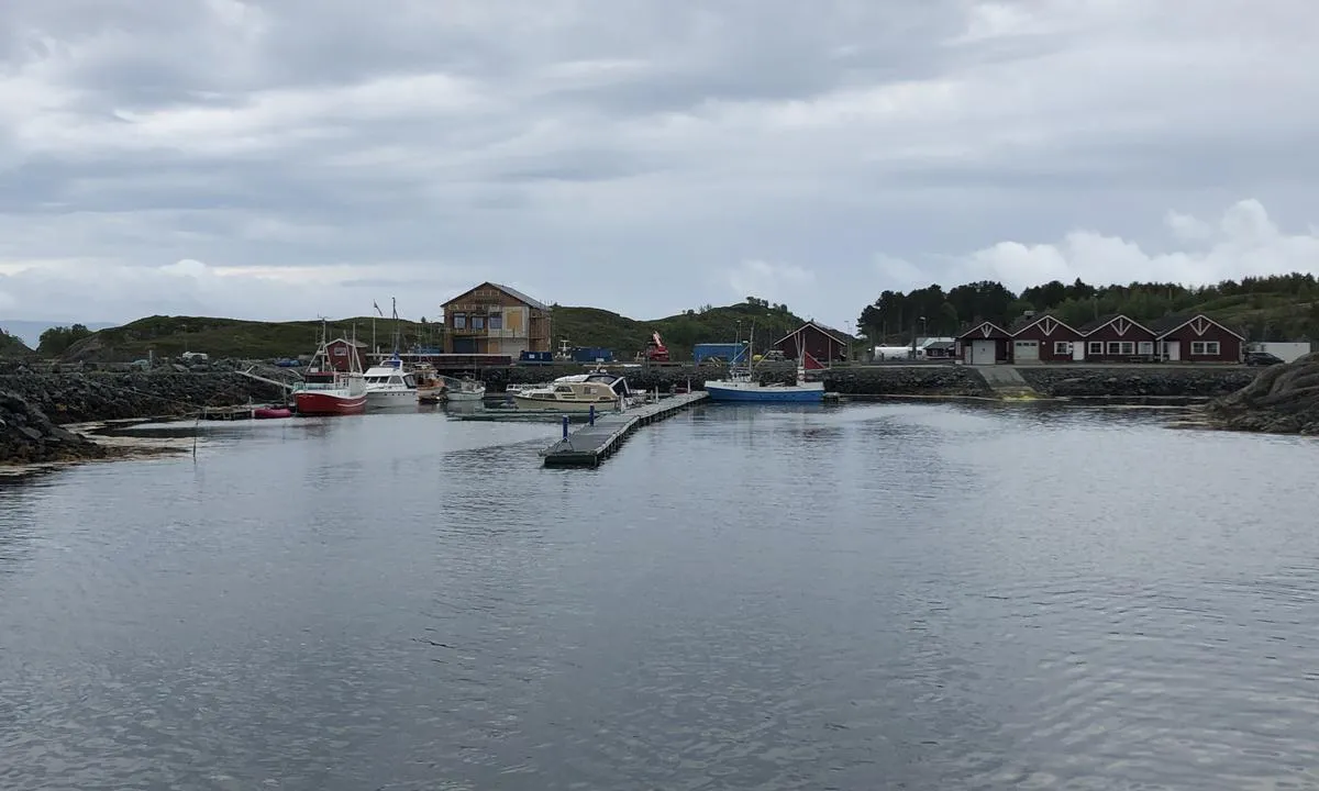 Skei Småbåthavn: {"base": "no", "no": "Bildet tatt nordfra, slik du ankommer havna. Gjestebrygga er den som stikker ut mot deg. Hold deg til h\u00f8yre (vest) av brygga om du har dyp b\u00e5t.", "se": "Bilden tagen norrifr\u00e5n, s\u00e5 som du anl\u00e4nder till hamnen. G\u00e4stbryggan \u00e4r den som sticker ut mot dig. H\u00e5ll dig till h\u00f6ger (v\u00e4st) om bryggan om du har djup b\u00e5t.", "en": "The picture taken from the north, as you arrive at the harbor. The guest pier is the one that extends out towards you. Stay to the right (west) of the pier if you have a deep boat.", "da": "Billedet er taget nordfra, som du ankommer havnen. G\u00e6stebryggen er den, der stikker ud mod dig. Hold til h\u00f8jre (vest) for bryggen, hvis du har dybtg\u00e5ende b\u00e5d."}