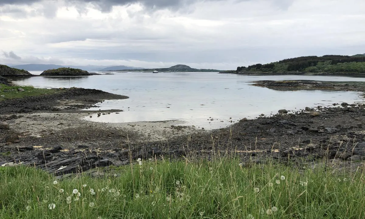 {"base": "no", "no": "Rett s\u00f8rvest for Skei ligger bukta hvor du kan ligge p\u00e5 svai. Bildet er tatt fra land p\u00e5 nordsiden av bukta.", "se": "Precis sydv\u00e4st om Skei ligger bukten d\u00e4r du kan ligga p\u00e5 svaj. Bilden \u00e4r tagen fr\u00e5n land p\u00e5 norra sidan av bukten.", "en": "Just southwest of Skei is the bay where you can anchor. The picture is taken from the shore on the north side of the bay.", "da": "Lige sydvest for Skei ligger bugten, hvor du kan ligge for anker. Billedet er taget fra land p\u00e5 nordsiden af bugten."}