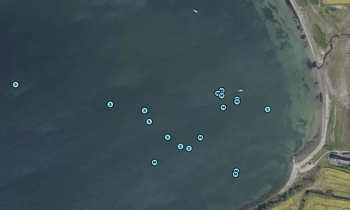 Satelite image of Skeldevig bouy