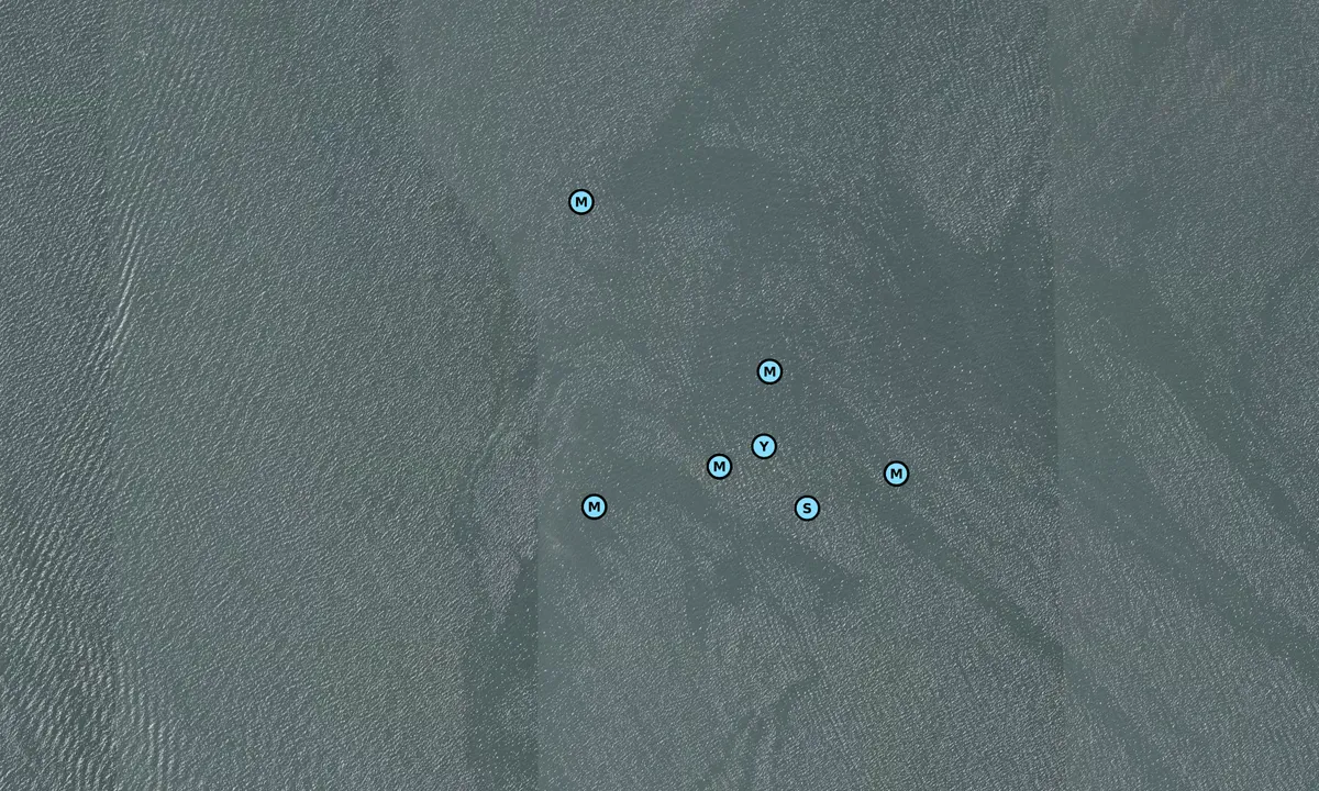 Satelite image of Skeleton Island