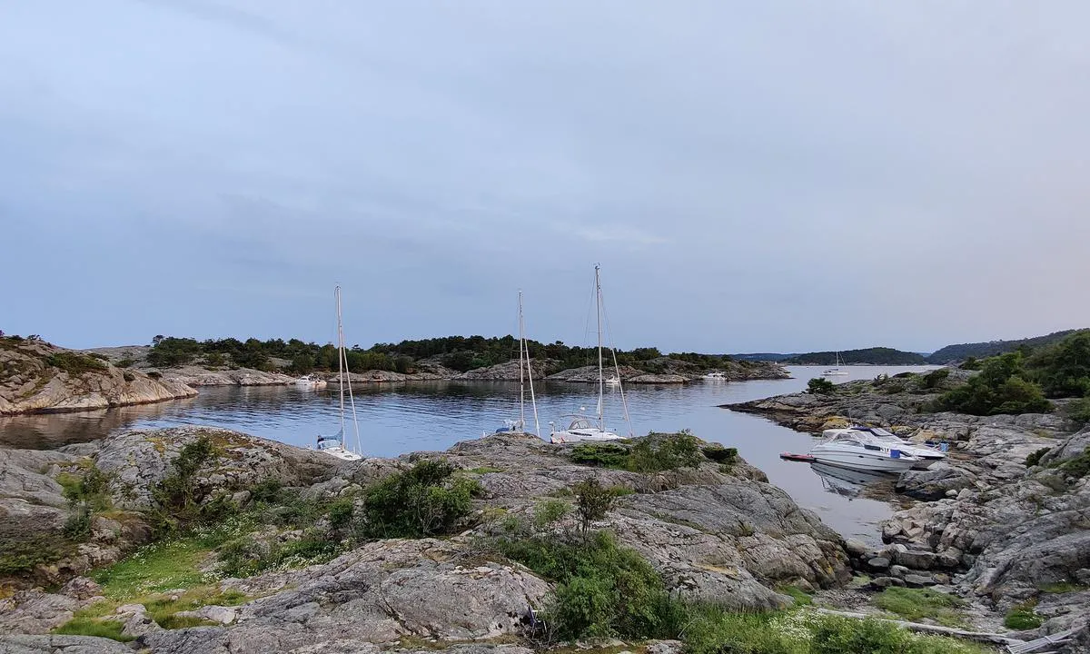 Skibsholmen: Fra nordsiden sett mot sør.