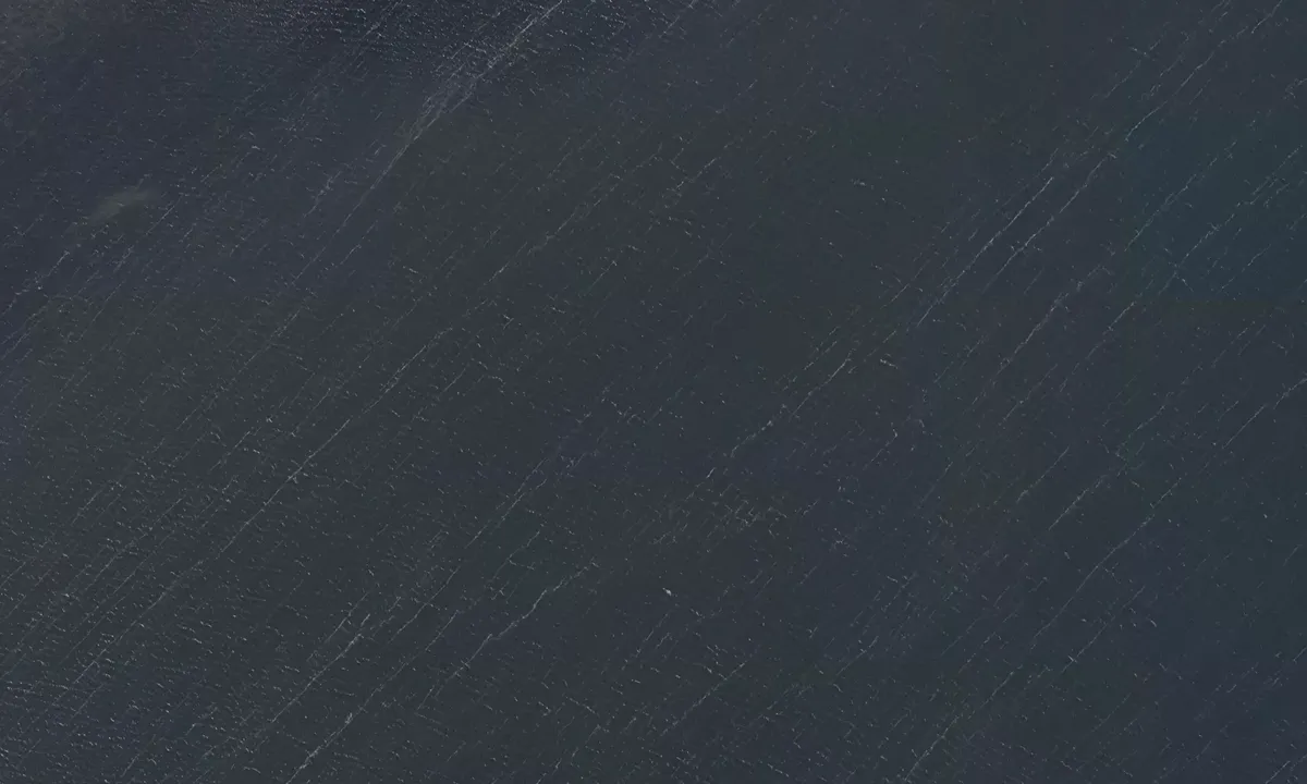 Satelite image of Skidenbugt bouy