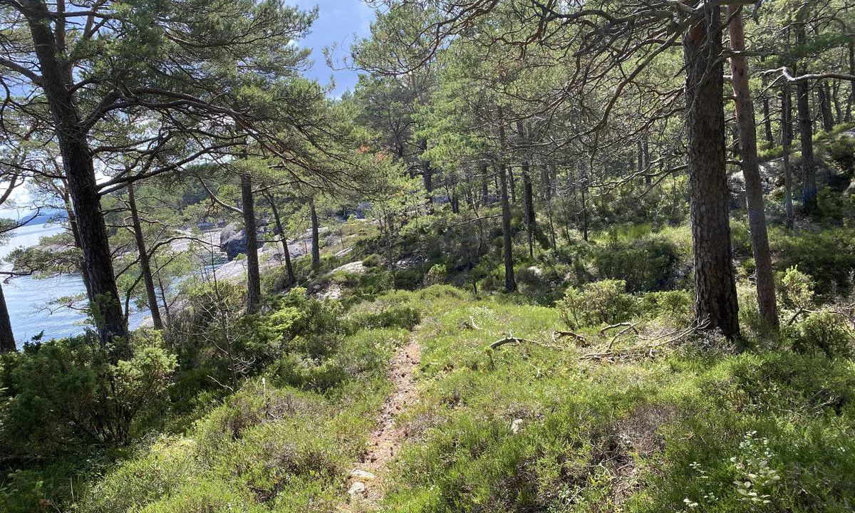 Skipavågen - Tysnes: {"base": "no", "no": "Fint \u00e5 g\u00e5 tur rundt p\u00e5 \u00f8ya, om man har tursko", "se": "Fint att ta en promenad runt \u00f6n, om man har vandringsskor", "en": "Nice to take a walk around the island, if you have hiking shoes", "da": "Det er dejligt at g\u00e5 en tur rundt p\u00e5 \u00f8en, hvis man har vandresko"}