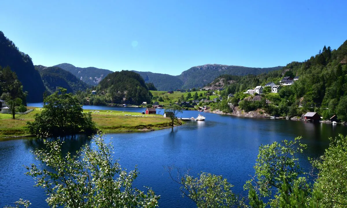 Skipshelleren: {"base": "no", "no": "Idyllisk omr\u00e5de", "se": "Idyllisk omr\u00e5de", "en": "Idyllic area", "da": "Idyllisk omr\u00e5de"}