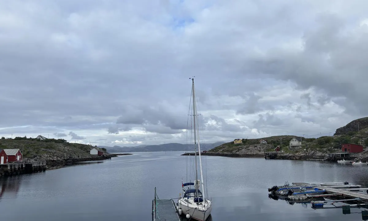 Skjærvøyvågen