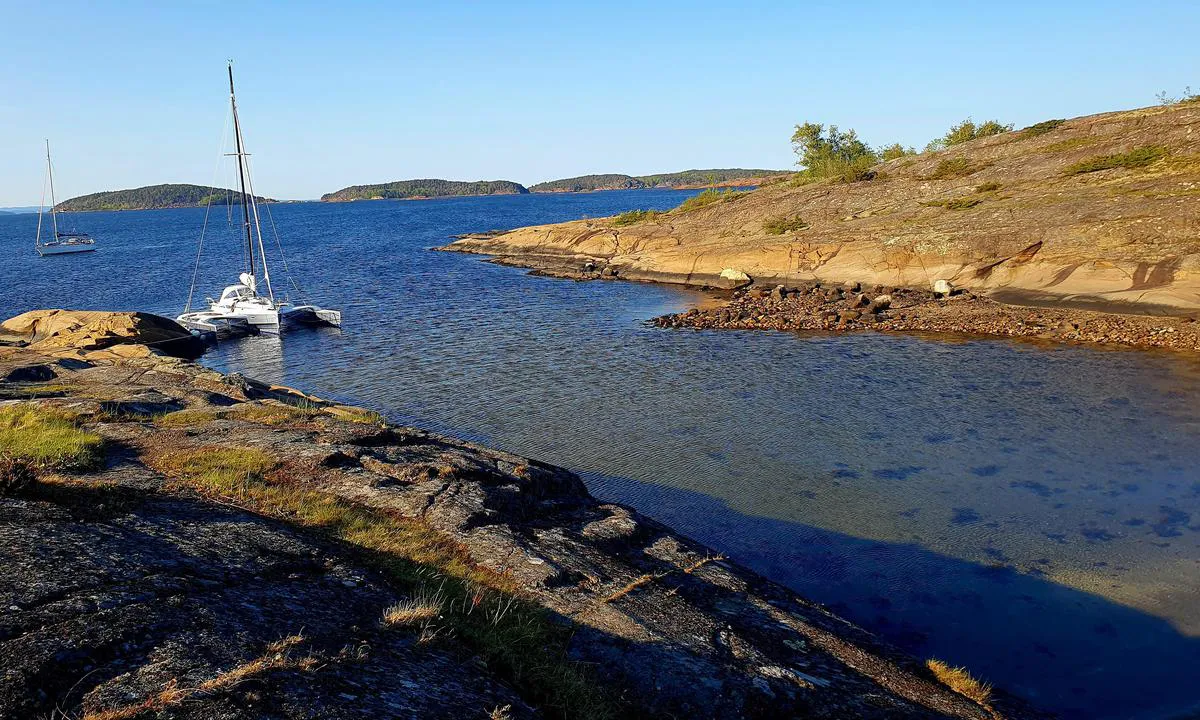 Skjellerøy