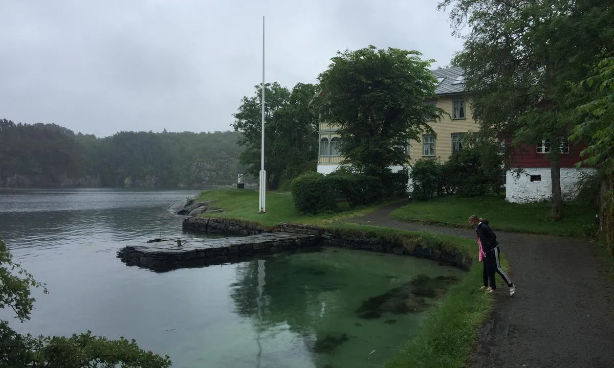 Skjerjehamn: Hotellet og badebukten.