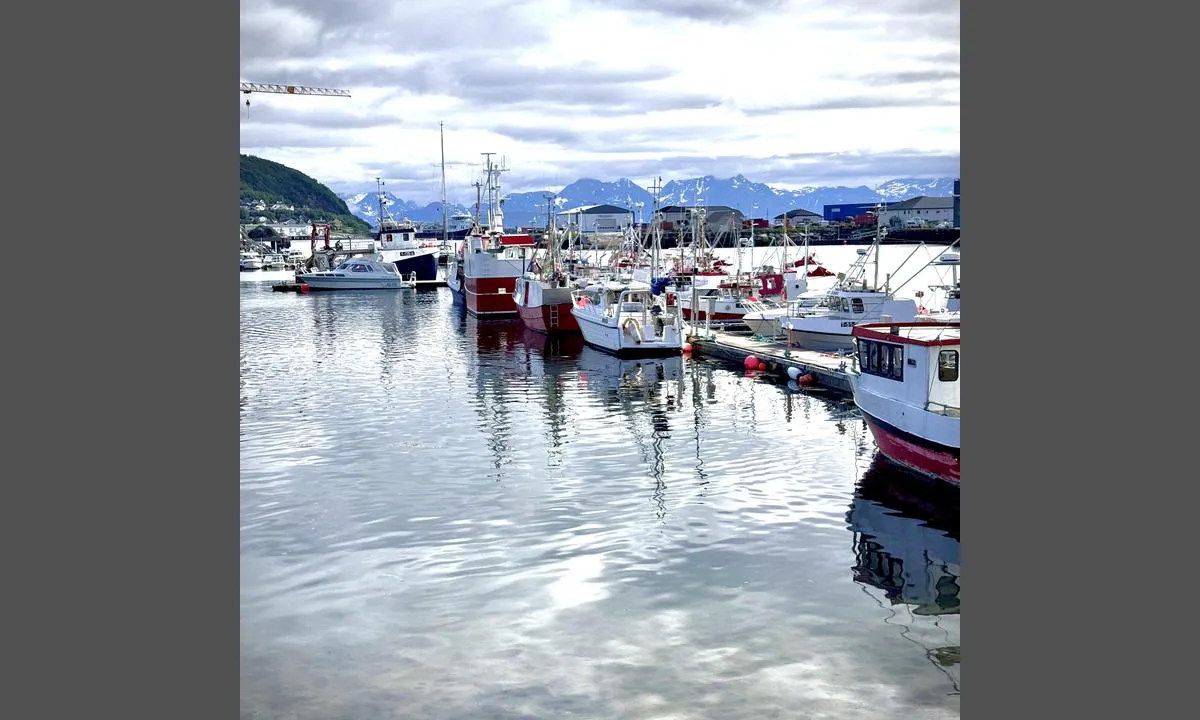 Skjervøy