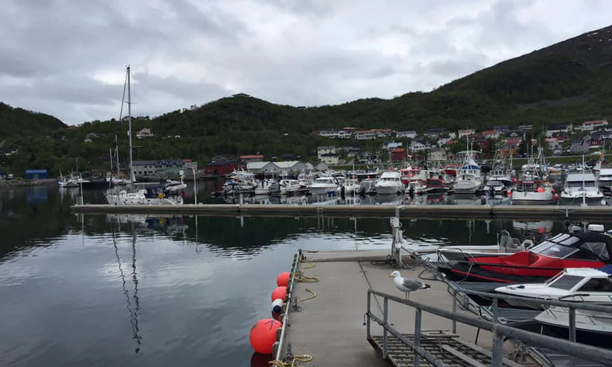 Skjervøy: {"base": "no", "no": "Gjestebrygge sett fra drivstoffbrygge.", "se": "G\u00e4stbrygga sedd fr\u00e5n drivmedelsbrygga.", "en": "Guest pier seen from the fuel dock.", "da": "G\u00e6stebro set fra br\u00e6ndstofbro."}