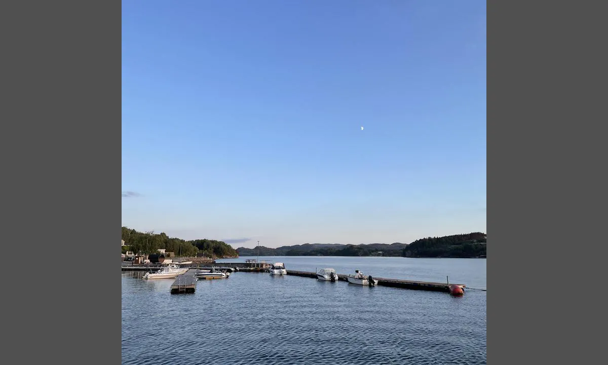 Skjoldastraumen: {"base": "no", "no": "En kan ogs\u00e5 ligge p\u00e5 begge sider av flytebrygger. Usikker p\u00e5 om det er str\u00f8m her.", "se": "Man kan ocks\u00e5 ligga p\u00e5 b\u00e5da sidor av flytbryggor. Os\u00e4ker p\u00e5 om det finns el h\u00e4r.", "en": "One can also berth on both sides of the floating dock. Uncertain if there is power here.", "da": "Man kan ogs\u00e5 ligge p\u00e5 begge sider af flydebroerne. Usikker p\u00e5 om der er str\u00f8m her."}