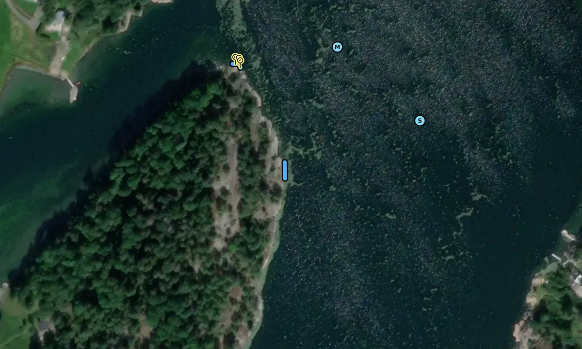 Satelite image of Skogholmen - Viksfjord