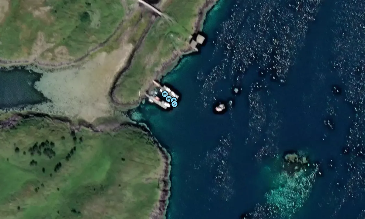 Satelite image of Skogsholmen