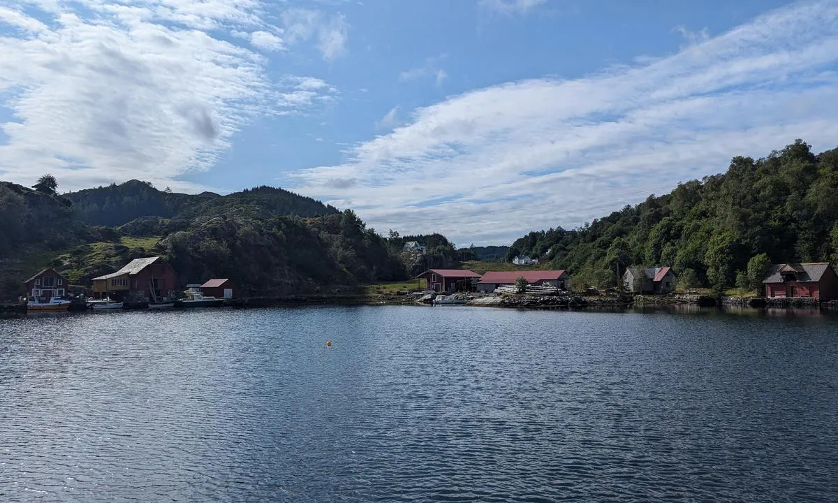 Skogsvågen