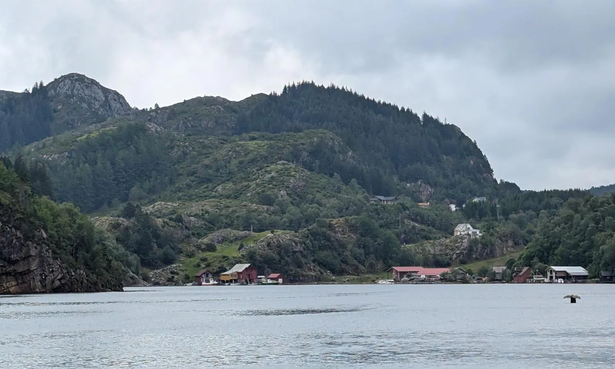 Skogsvågen