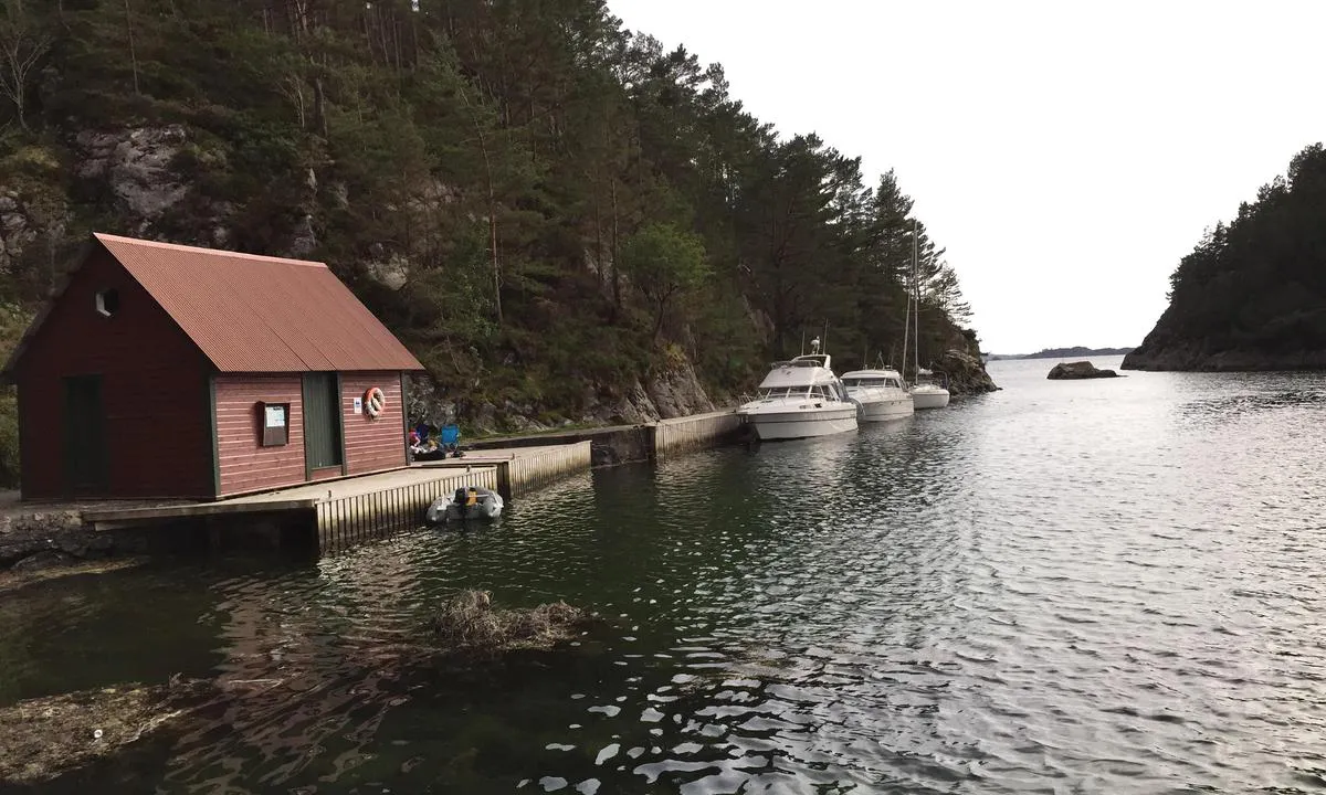 Skorpo