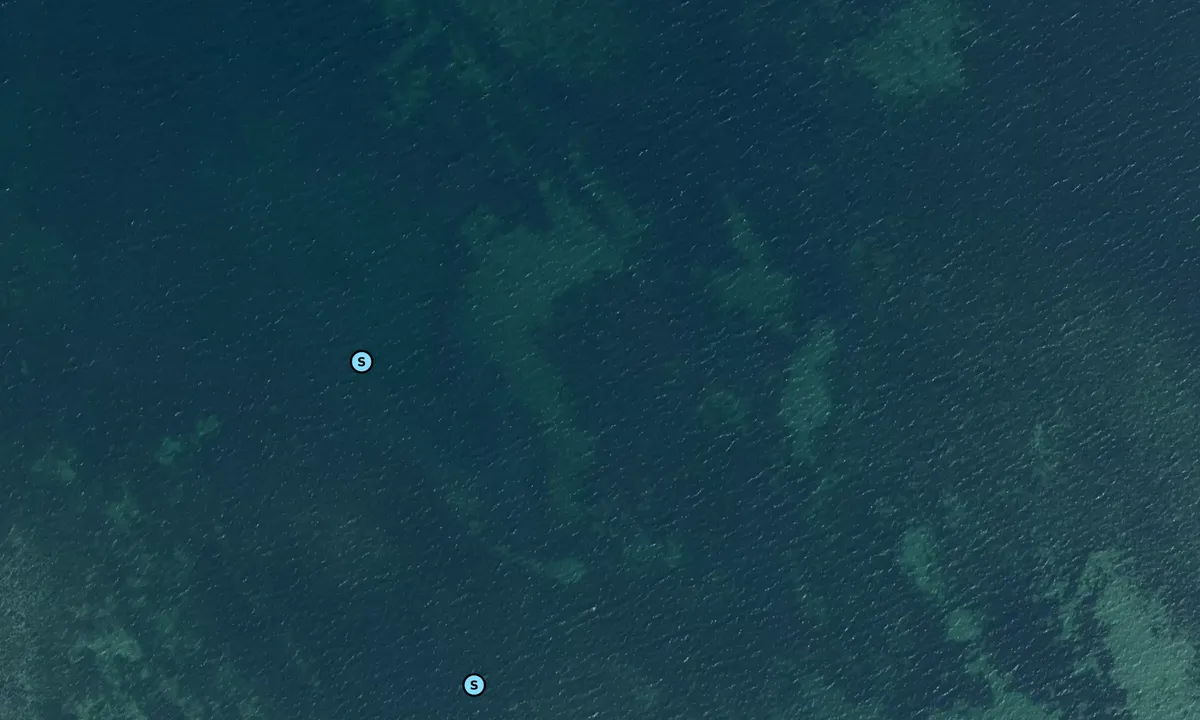 Satelite image of Skoven
