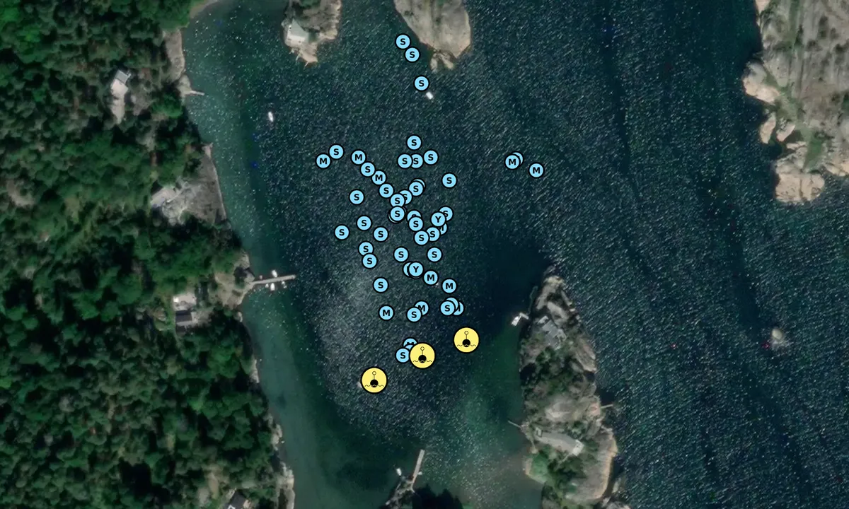 Satelite image of Skutebukta