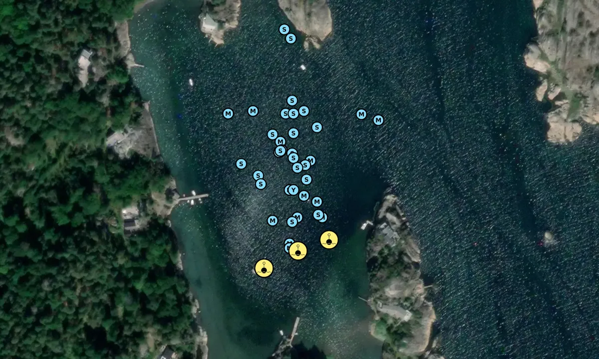 Satelite image of Skutebukta