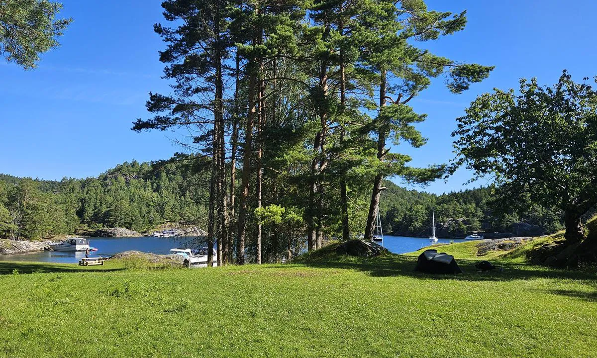 Skutevikkilen: {"base": "no", "no": "Flott gresslette til glede for store og sm\u00e5.", "se": "Fin gr\u00e4smatta till gl\u00e4dje f\u00f6r stora och sm\u00e5.", "en": "Great grassy area for the enjoyment of both young and old.", "da": "Flot gr\u00e6spl\u00e6ne til gl\u00e6de for store og sm\u00e5."}