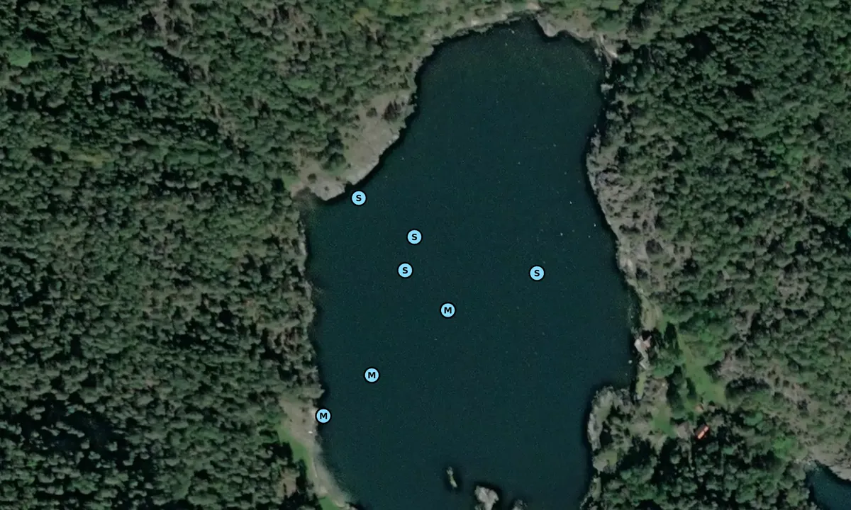 Satelite image of Skutevikkilen