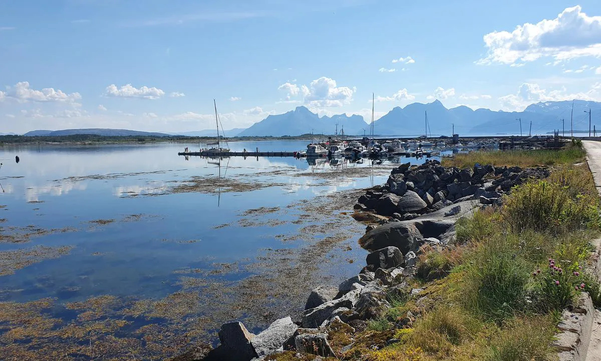 Skutvik Gjestehavn: {"base": "no", "no": "Ytterste del av flytebrygga, den uten b\u00e5ser, er gjestehavn. Longside fort\u00f8yning.", "se": "Yttersta delen av flytbryggan, den utan b\u00e5sar, \u00e4r g\u00e4sthamn. Longside f\u00f6rt\u00f6jning.", "en": "The outermost part of the floating dock, the one without berths, is the guest harbor. Longside mooring.", "da": "Yderste del af flydebroen, den uden b\u00e5se, er g\u00e6stehavn. Langsides fort\u00f8jning."}