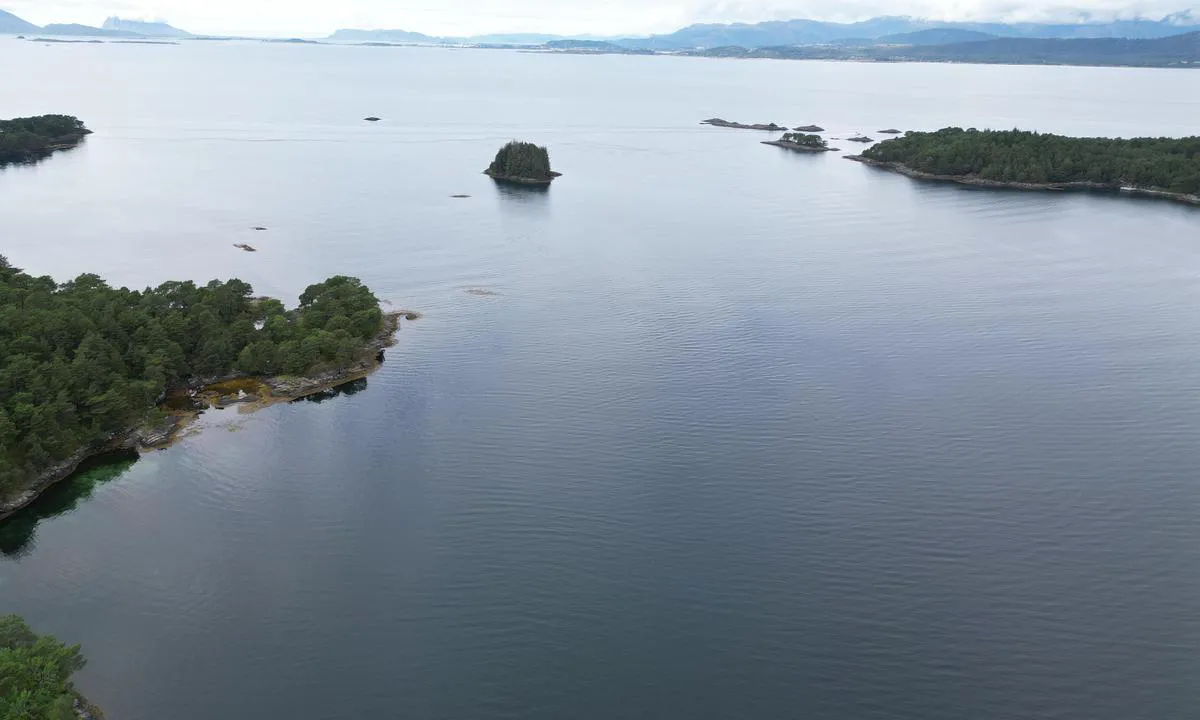 Slettevika Svanøya: {"base": "no", "no": "Innseiling.  F\u00f8lg med i kart noen grunner p\u00e5 vei inn,  men grei innseiling", "se": "Insegling. F\u00f6lj med p\u00e5 sj\u00f6kortet eftersom det finns n\u00e5gra grund p\u00e5 v\u00e4g in, men det \u00e4r enkel insegling.", "en": "Approach. Pay attention to the chart, some shallows on the way in, but straightforward approach", "da": "Indsejling. F\u00f8lg med i kortet, der er nogle grunde p\u00e5 vej ind, men indsejlingen er nem."}