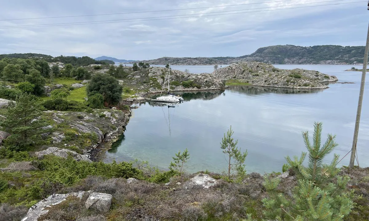 Smedaholmen Nord: view > N