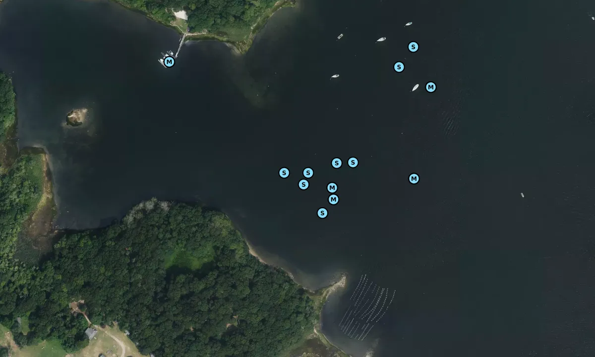 Satelite image of Smelt Brook Cove