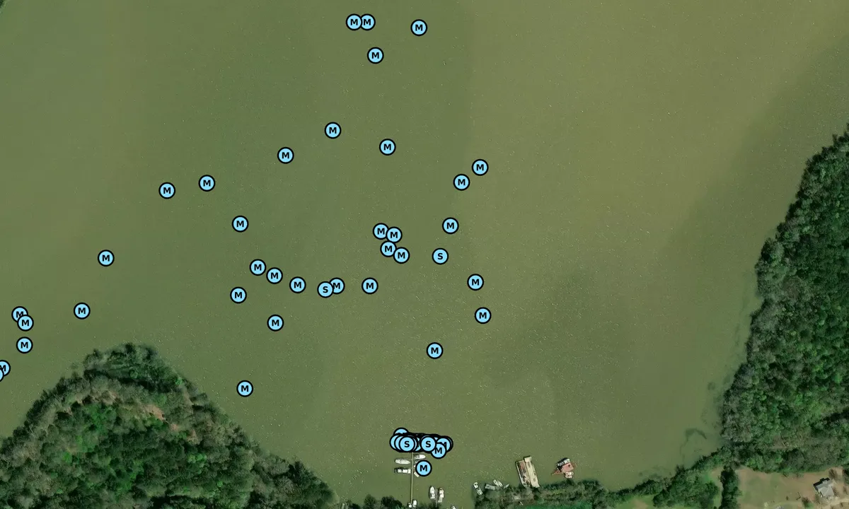 Satelite image of Smithville - 1