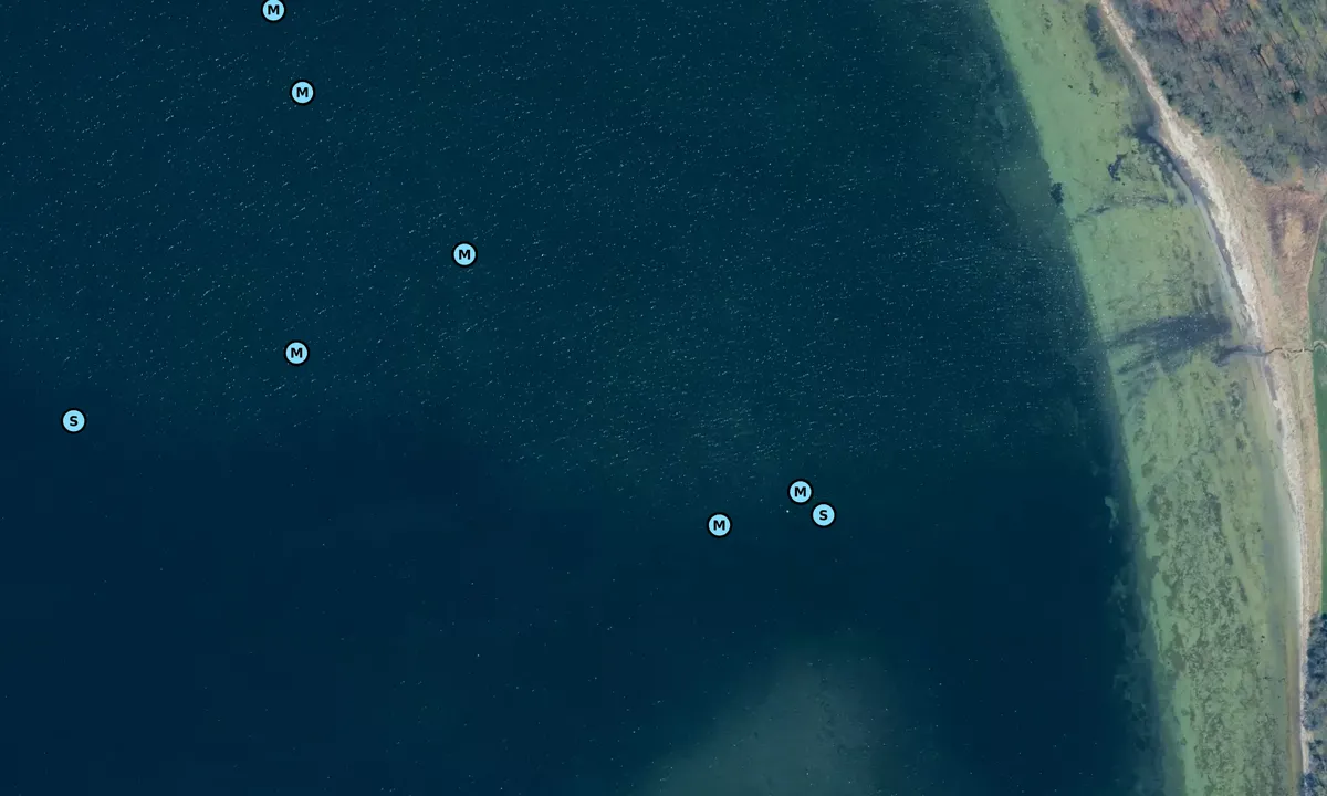 Satelite image of Snekkeø bouy