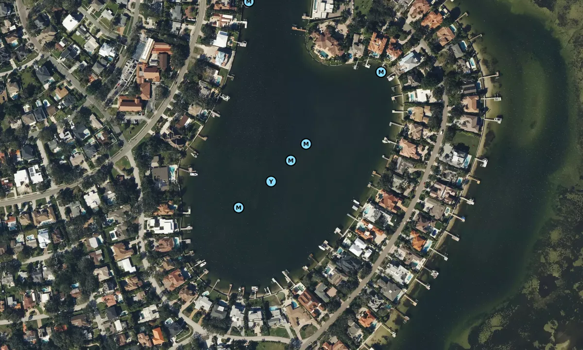 Satelite image of Snell Isle Harbor