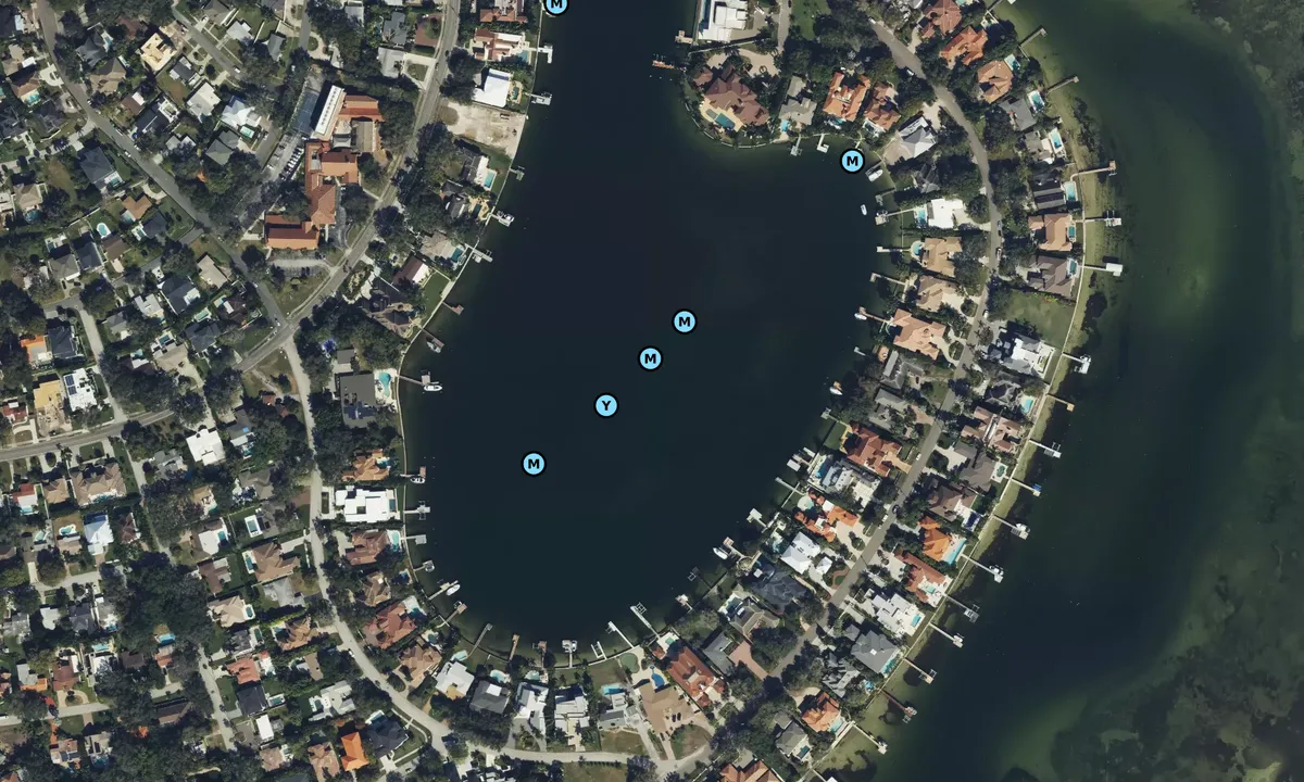 Satelite image of Snell Isle Harbor