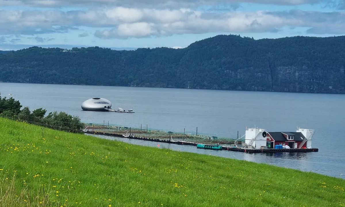 Snilstveitøy - Rosendal: Salmon Eye ligger rett vest for øya